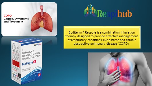 Buditerm F Respule at the best price in Pulmonology pharma Franchise.